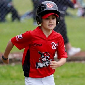 https://www.waverleybaseball.com.au/wp-content/uploads/2021/11/LL-Minor-and-T-Ball-playing-top-300x300.jpg