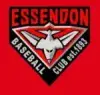 Essendon 